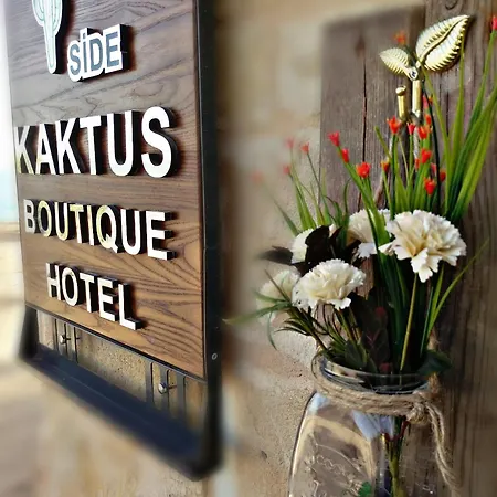 Kaktues